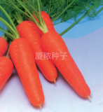 祥福518