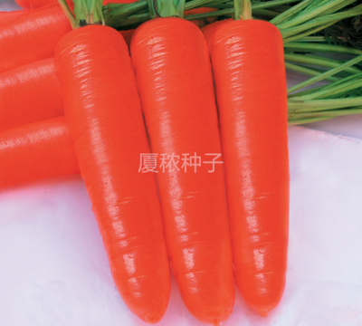 中秋红